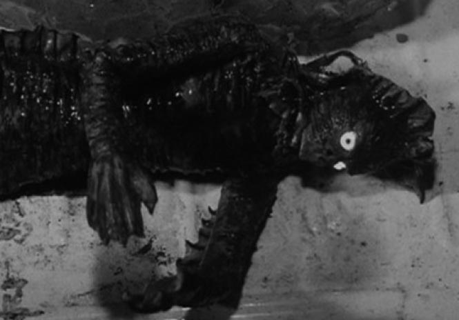 海底原人 ラゴン – 円谷ステーション – ウルトラマン、円谷プロ公式サイト