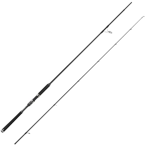 アブ ガルシア ソルティーステージ プロトタイプ シーバス XSBS-942MMH