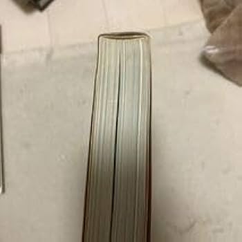 Amazon.co.jp: 週刊プレイボーイ 特別編集 GALS MATE ギャルズメイト