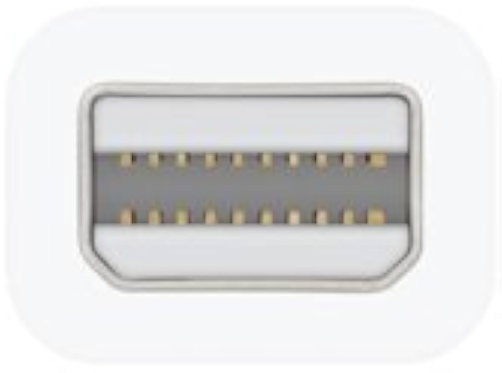 Apple Thunderbolt to FireWire Adapter : Amazon.co.uk: Computers