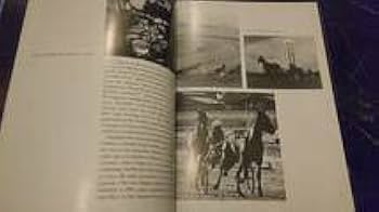 Amazon.co.jp: Viva Macau! 1980年 マカオ写真集 英語 ハードカバー