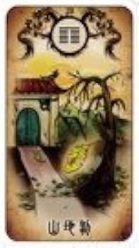 台湾流 龍羽易占カード | 龍羽ワタナベ |本 | 通販 | Amazon