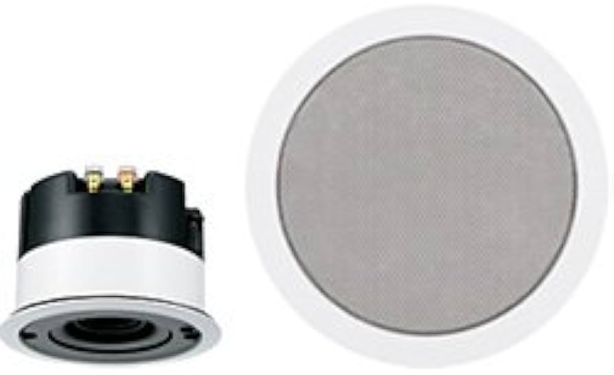 Amazon.co.jp: パイオニア 「迷惑レス」天井埋め込み型スピーカー ACCO