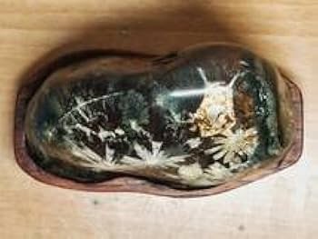 Amazon.co.jp: 白菊562g 菊花石 菊紋石 小菊石 花紋石 原石 鑑賞石