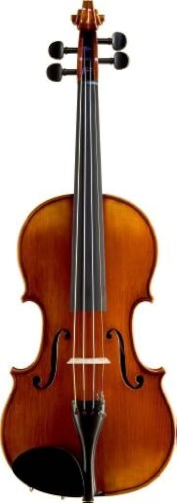 Amazon | SUZUKI No.520 4/4 バイオリン スズキ | バイオリン | 楽器