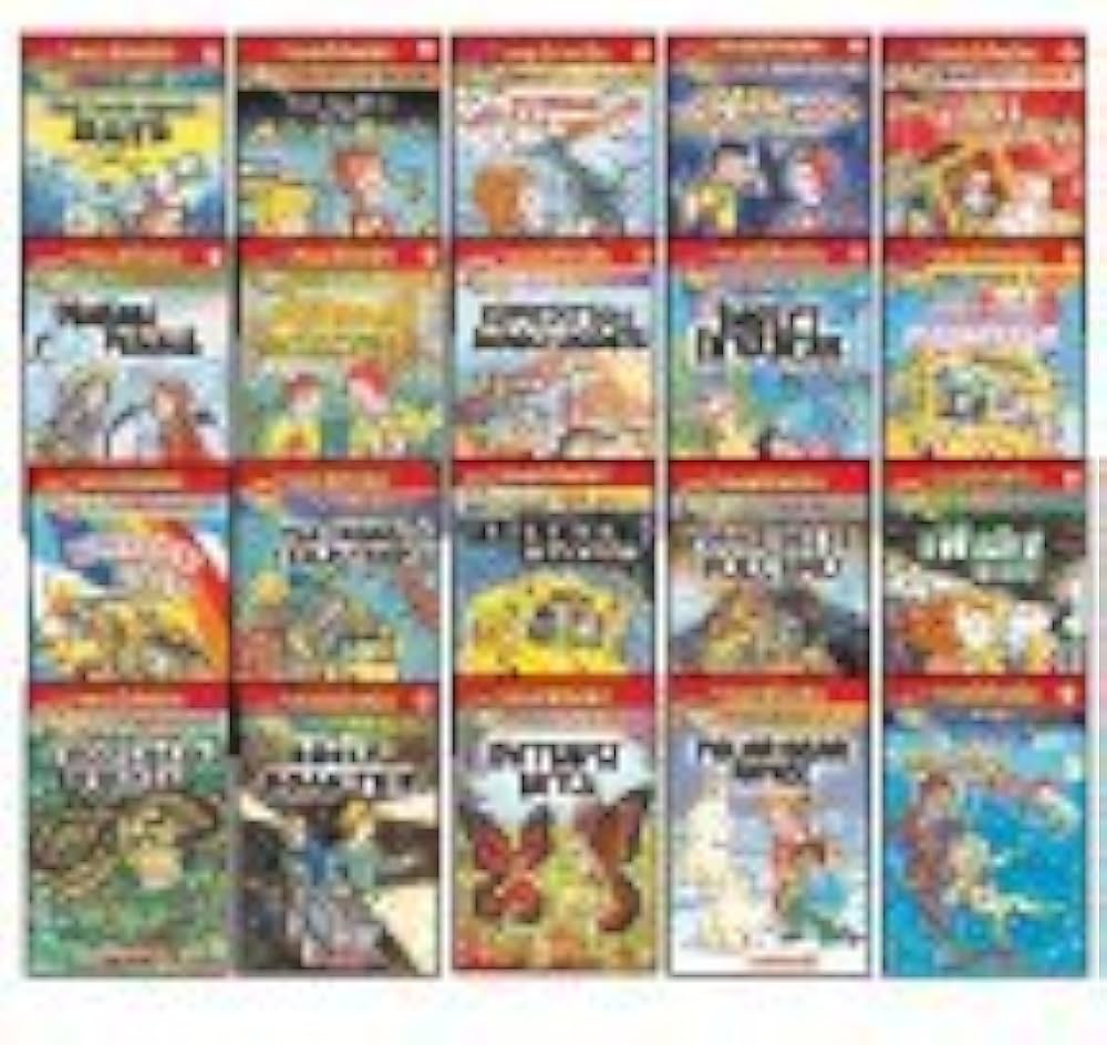 Amazon.com: The Magic School Bus Chapter Book (20 Book Set