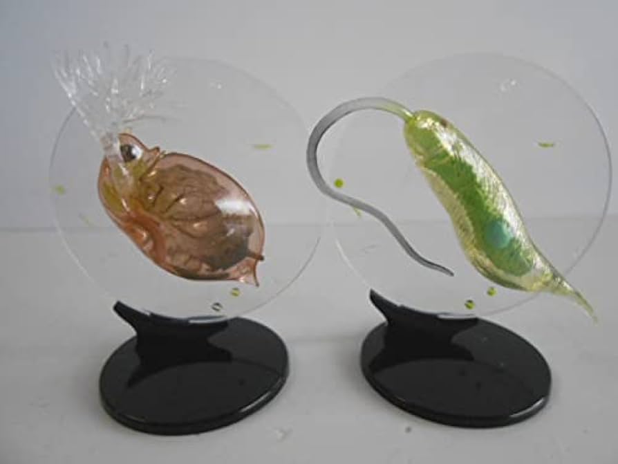 Amazon.co.jp: ♯Kri21HzカプセルQミクロコスモスプランクトン大全 全5