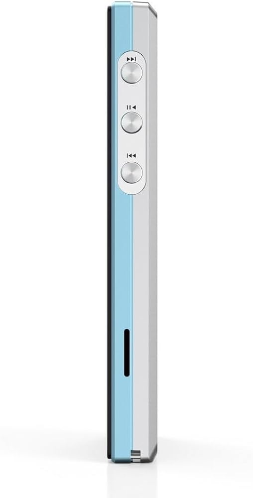 Amazon.co.jp: FIIO JM21 FIO-JM21-L【日本正規品・シリアルナンバー付