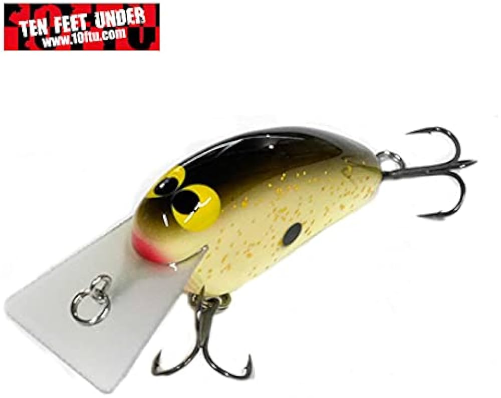 Amazon | テンフィートアンダー ワラミー ワイドル モア TEN FEET