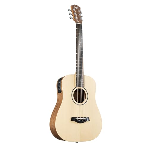 Taylor Guitars 312ce-N (アコースティックギター) 価格比較 - 価格.com