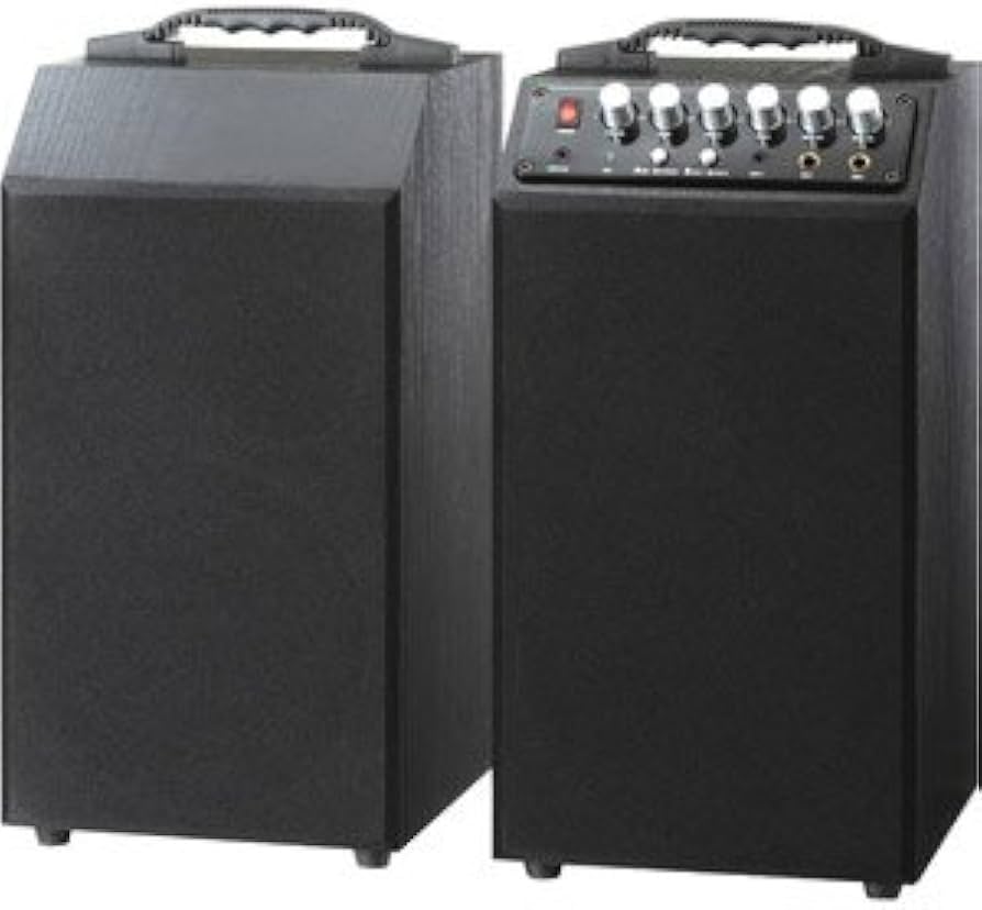 ロックリッジサウンドジャパン スピーカラ 2M K2000MK2