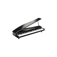 Amazon | KORG MICROPIANO マイクロピアノ ミニ鍵盤61鍵 レッド 61曲の
