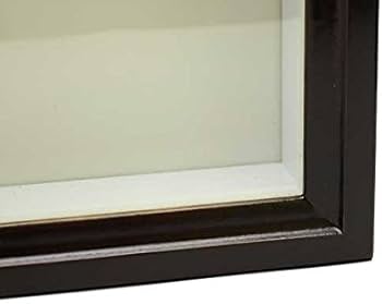 Amazon.co.jp: 大型ドイツ型標本箱（茶） : おもちゃ