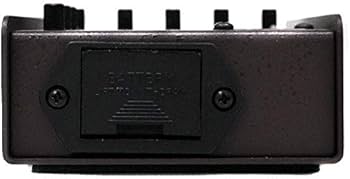 Amazon | L.R.Baggs (エルアールバックス) アコースティックギター用