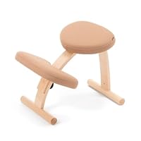 Amazon.co.jp: バランスラボ バランスイージー 通常フレーム 通常箱