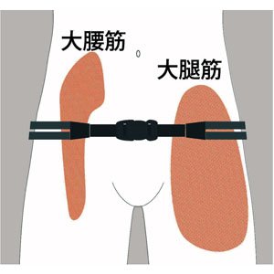 Amazon.co.jp: 大山式ボディーケアー Pelvis Belt（ペルビス ベルト