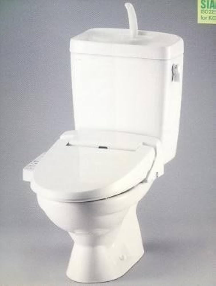 Amazon | 一般洋風便器・タンクセット【C-180S+DT-4840】カラー BN8