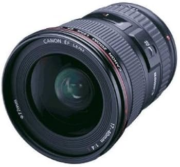 Canon EF 17-40mm f/4L USM Lens : CANON: Amazon.in: Electronics