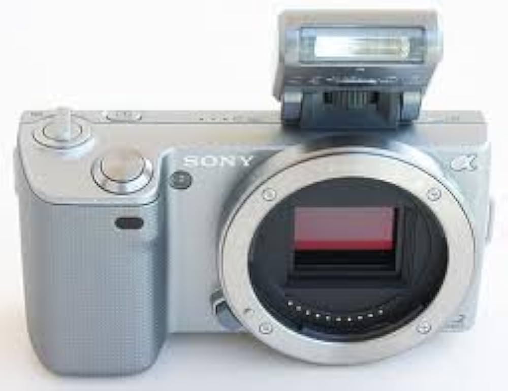 Buy Sony NEX-5N 16.1 MP Compact Interchangeable Lens Camera with