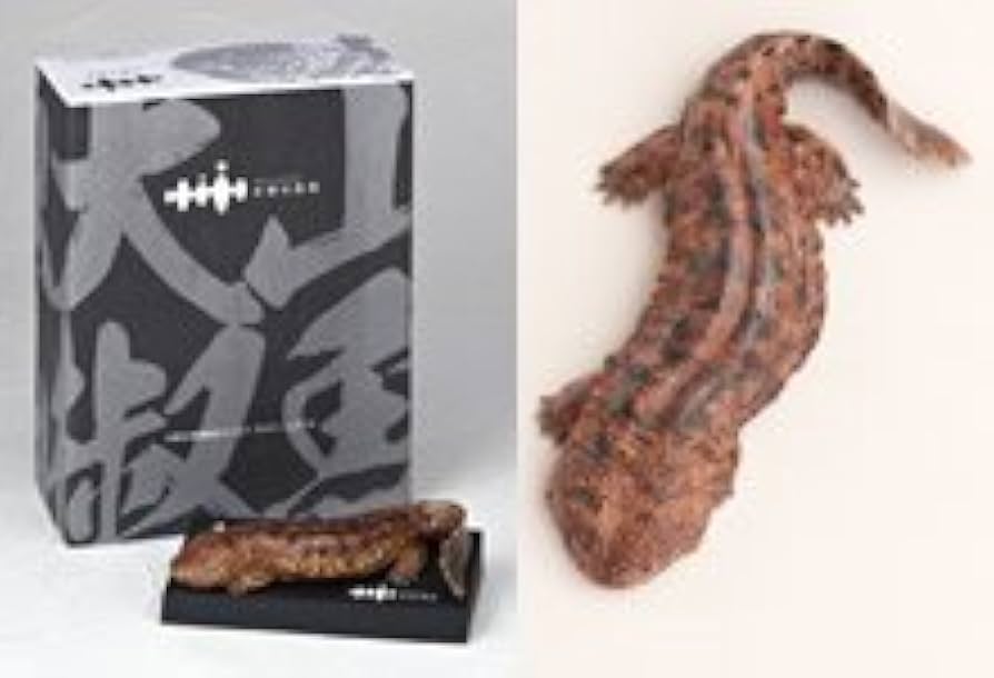 Amazon.co.jp: 海洋堂 京都水族館限定フィギュア オオサンショウウオ