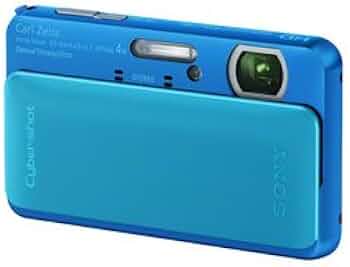 31eVD5N1GzL._AC_UF350,