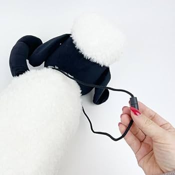 414NsYqJRYL._AC_UF350,