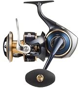 Amazon | ダイワ(DAIWA) ティップランロッド エメラルダス MX BORT 72L