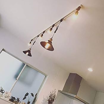 Amazon.co.jp : 3個入 ペンダントライト ダクトレール用 直径22cm 工事