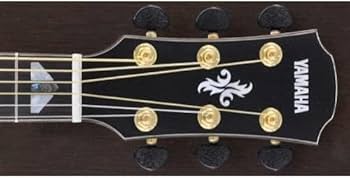 Amazon | ヤマハ エレアコギター APX1200II NT | エレアコギター