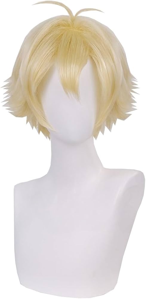 Amazon.co.jp: 埴之塚光邦 ハニー先輩 ウィッグ かつら コスプレ