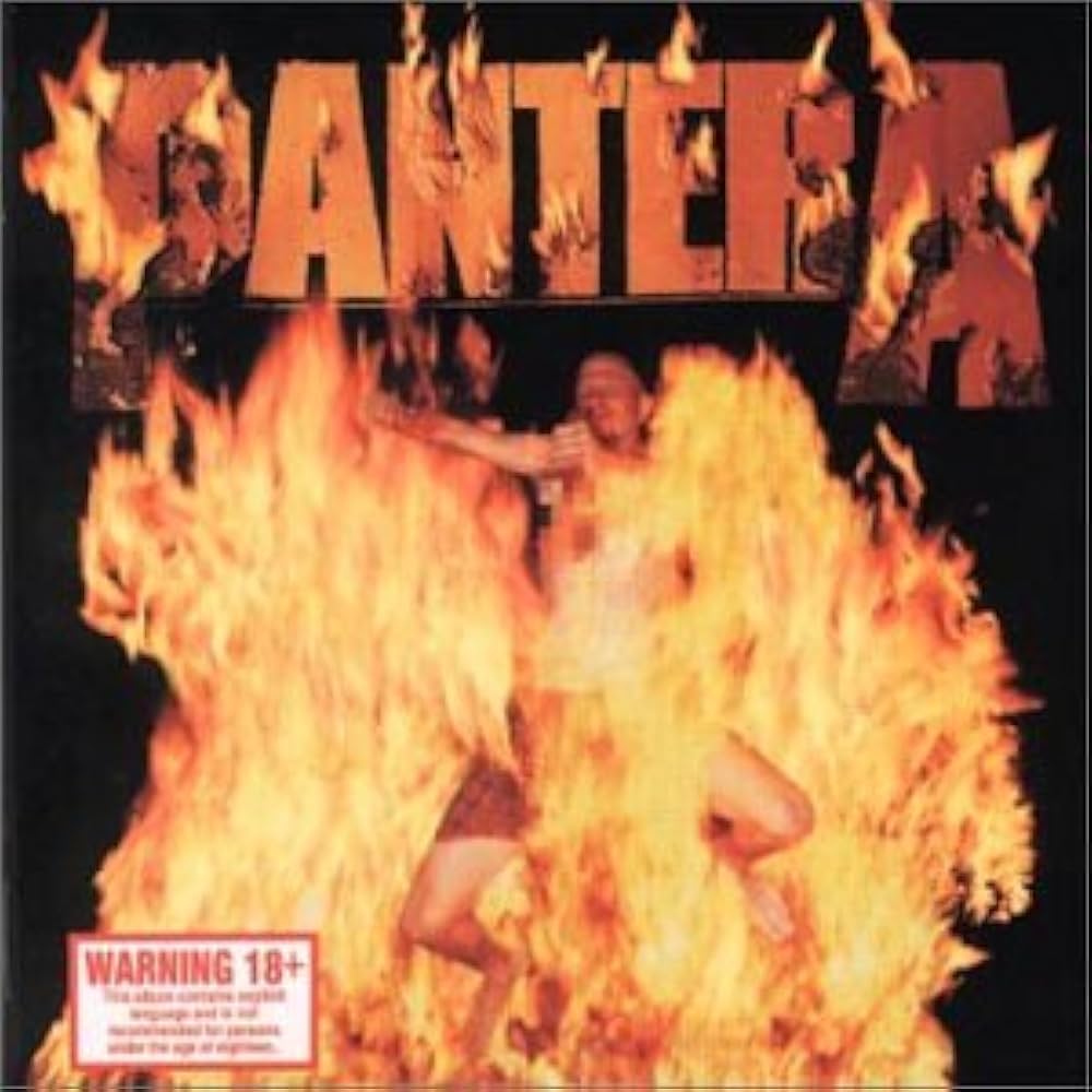 Amazon.com: Reinventing the Steel: CDs & Vinyl