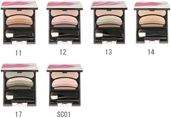 Amazon.co.jp: ソフィーナ オーブ ブラシひと塗りシャドウN 14ブラウン