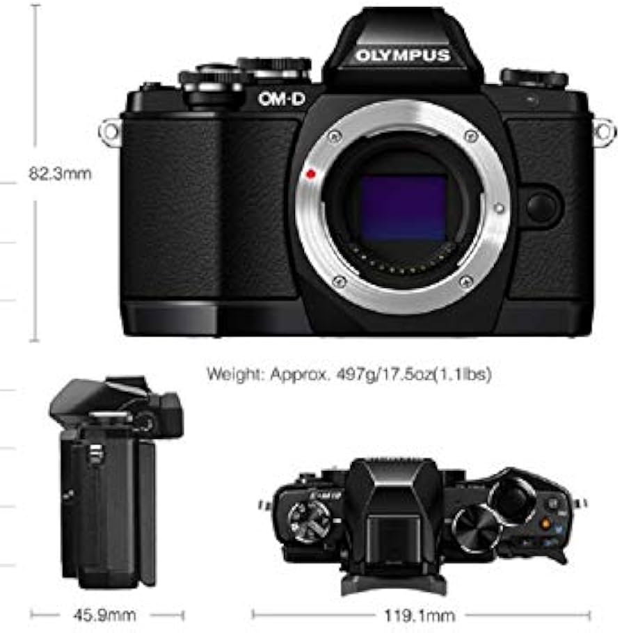 Amazon.com : OM SYSTEM Olympus OM-D E-M10 Mark II Mirrorless