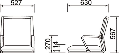 Amazon｜天童木工 座椅子 T-5556MP-SR メープル(SR色) 張地 ナミD0385