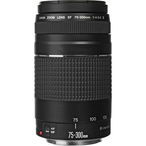 Amazon.co.jp: キャノンEF 75-300mm f/4-5.6 III 望遠ズームレンズ