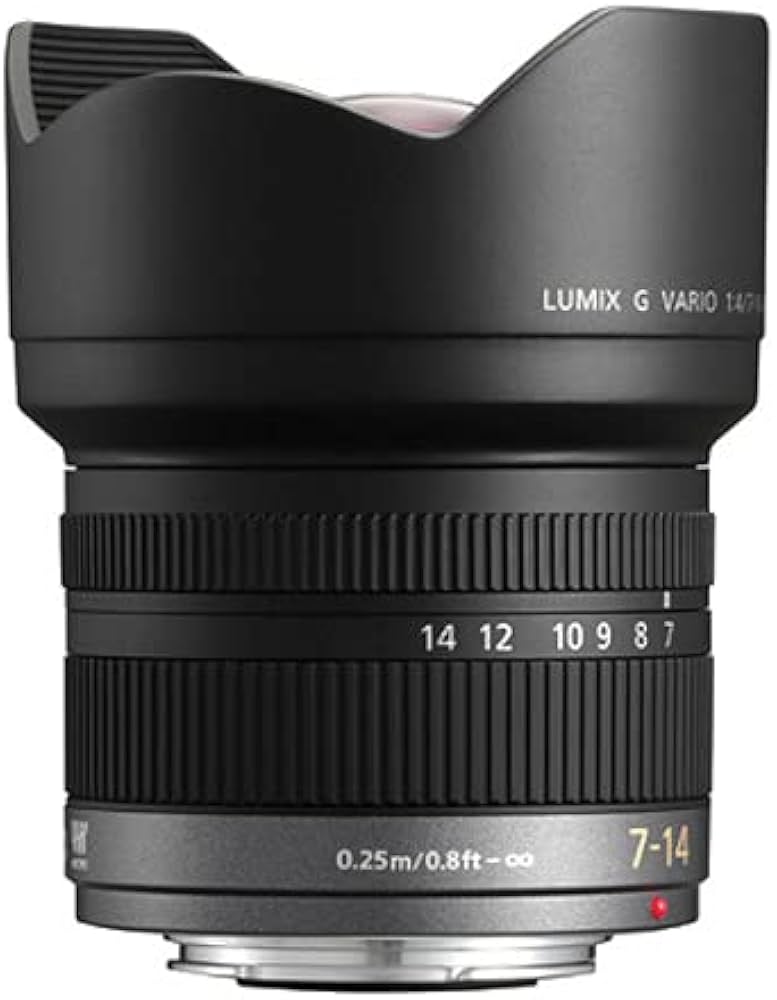 Amazon.com : PANASONIC LUMIX G VARIO LENS, 7-14MM, F4.0 ASPH