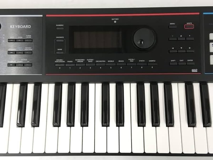 Amazon | Roland ローランド / JUNO-DS61【ロゴ入りソフトケース付
