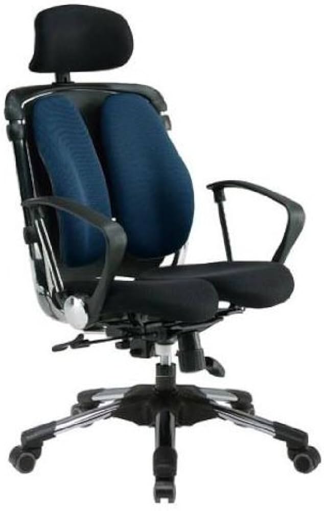 Amazon.co.jp: Hara Chair ハラチェア ニーチェ 《標準モデル