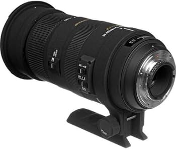 Amazon.com : Sigma 50-500mm f/4.5-6.3 APO DG OS HSM SLD Ultra