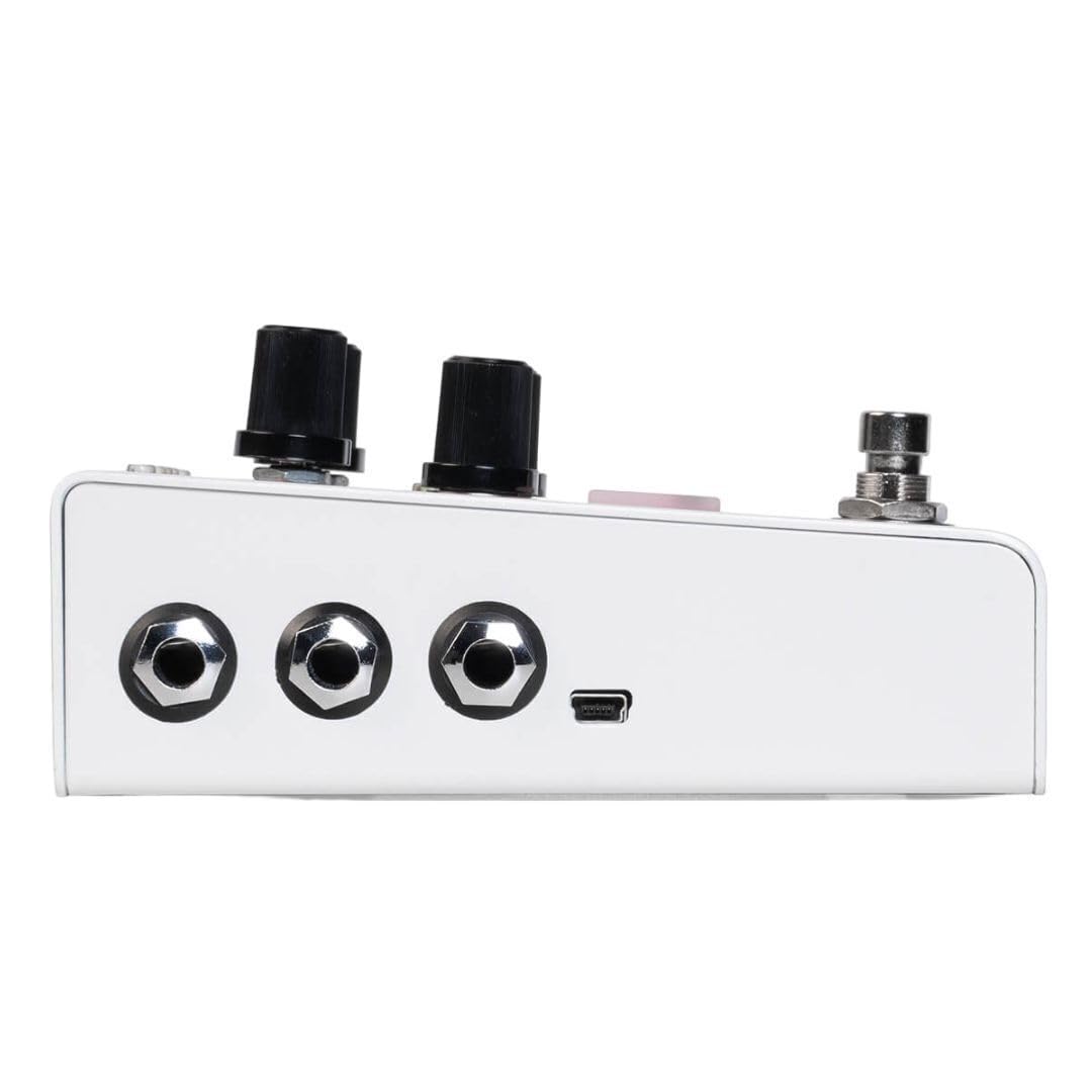 Amazon.com: DigiTech Automatic Drum Machine Pedal Multi Effect