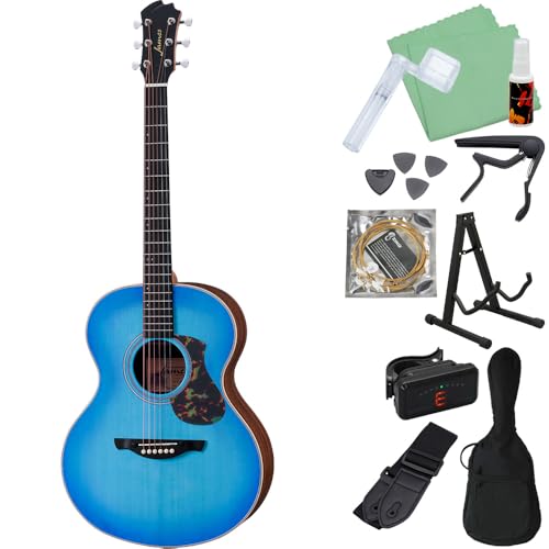 Amazon | James J-300AII アコースティックギター初心者12点セット