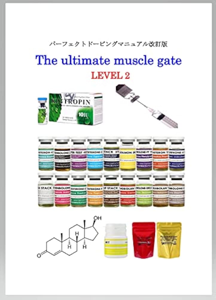 Amazon.co.jp: The ultimate muscle gate LEVEL 2(パーフェクト