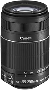 Amazon.com : Canon EFS 55-250mm f/4.0-5.6 IS II Telephoto Zoom