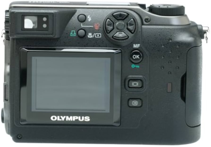 Amazon.com : OM SYSTEM OLYMPUS C-3000 3.2MP Digital Camera w/ 3x