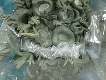 Amazon | 【未開封】エクスプラス 大怪獣シリーズ ワイアール星人