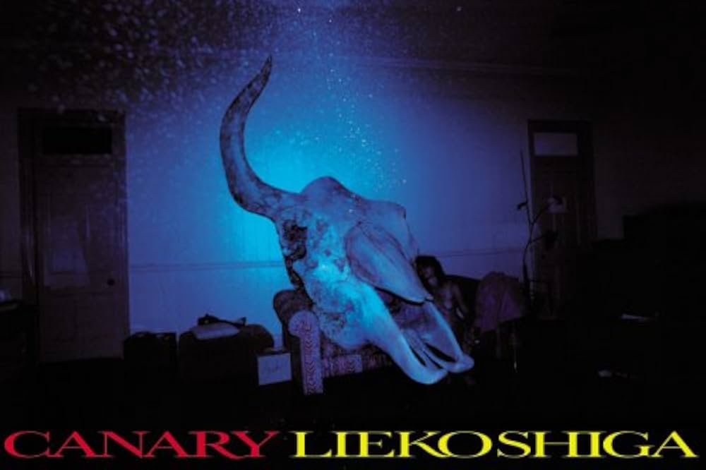 Amazon.co.jp: CANARY(カナリア) : 志賀 理江子: 本