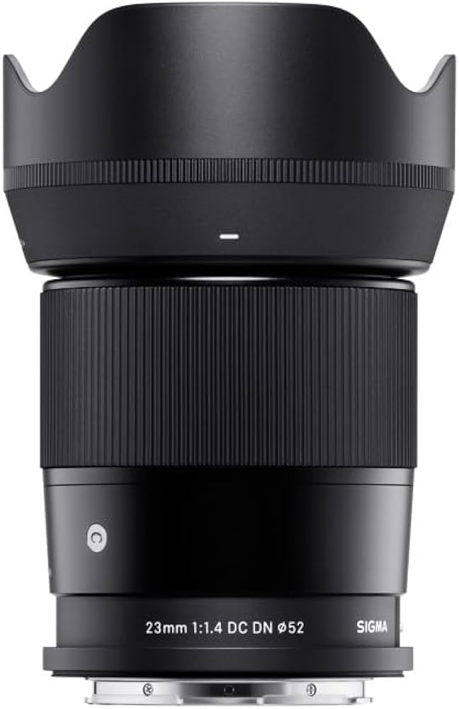 Amazon.com : 30mm F1.4 DC DN | C for EF-M Mount : Electronics