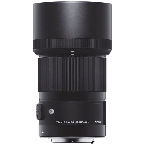 Amazon.com : Sigma 70mm F2.8 Art DG Macro for Canon : Electronics