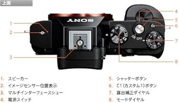 Amazon | ソニー SONY ミラーレス一眼 α7 ボディ ILCE-7 | ミラーレス