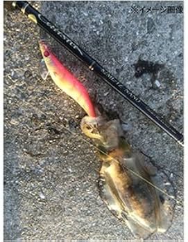 Amazon | ヤマガブランクス(YAMAGA Blanks) ロッド カリスタ 82ML/TZ